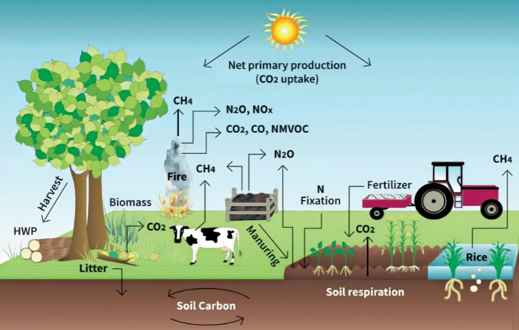 Carbon farming- Making agriculture fit for 2030.PNG